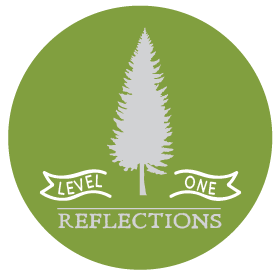 LEVEL ONE REFLECTIONS